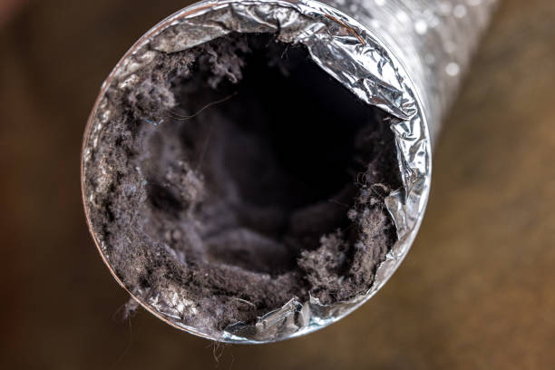Best Best Air Duct Cleaning Company  in Beacon Hill, WA