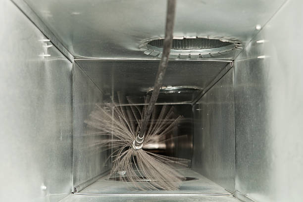 Best Local Air Duct Cleaning Services  in Beacon Hill, WA